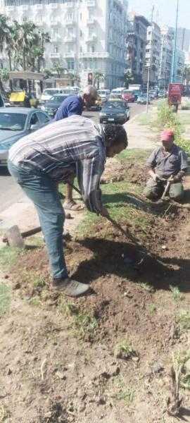 ضمن ”100 مليون شجرة”.. رفع كفاءة حديقة والحفاظ على شجرة معمرة بوسط الإسكندرية