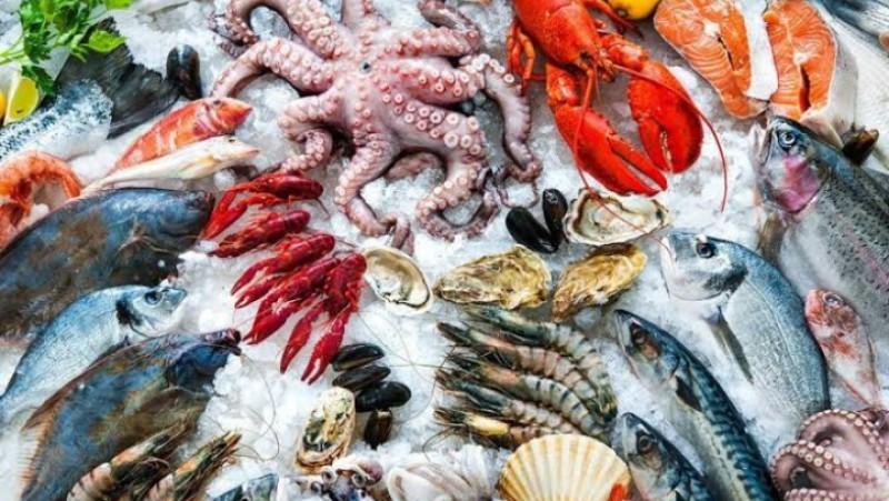أسعار الأسماك اليوم الجمعة