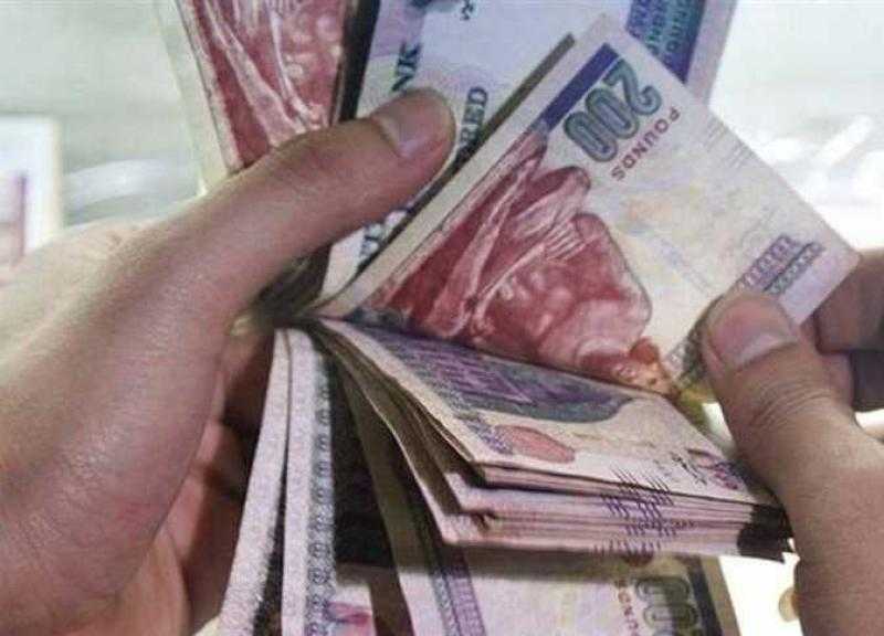 التأمينات تحدد قيمة زيادة المعاشات الجديدة.. فيديو