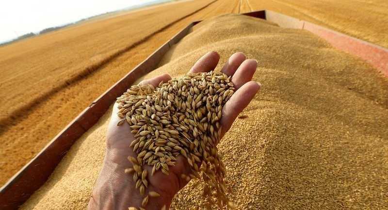 روسيا تضع 5 شروط لتمديدها صفقة الحبوب في مايو المقبل