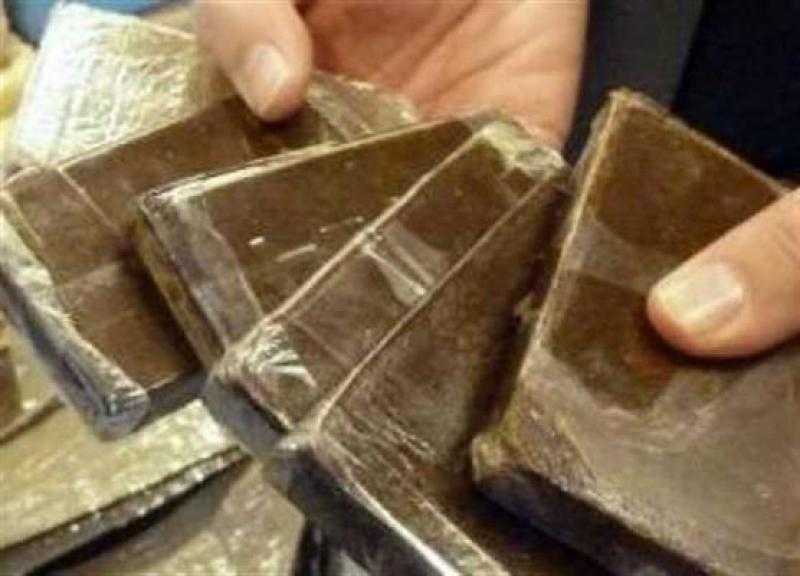 ضبط عاطلين بحوزتهما كمية من المخدرات بالقليوبية