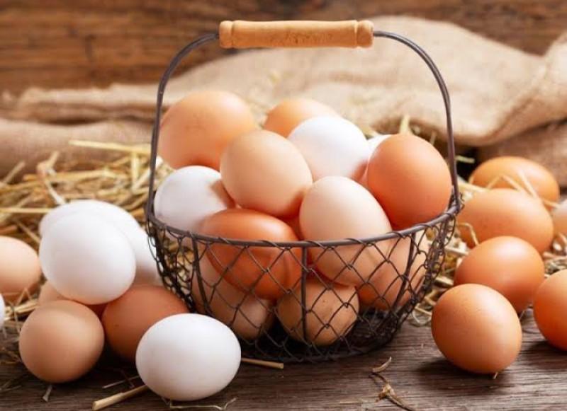 ننشر سعر كرتونة البيض اليوم الجمعة