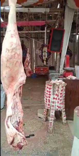 جانب من الحملة