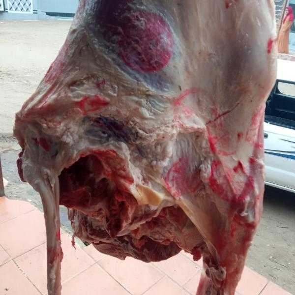 ضبط 8 محلات جزارة لعرض لحوم غير صالحة للاستهلاك الآدمي في البحيرة