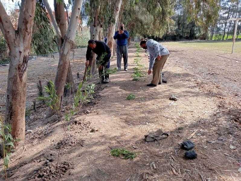 حملات ري أشجار مبادرة «100 مليون شجرة» بمركز الشهداء في المنوفية