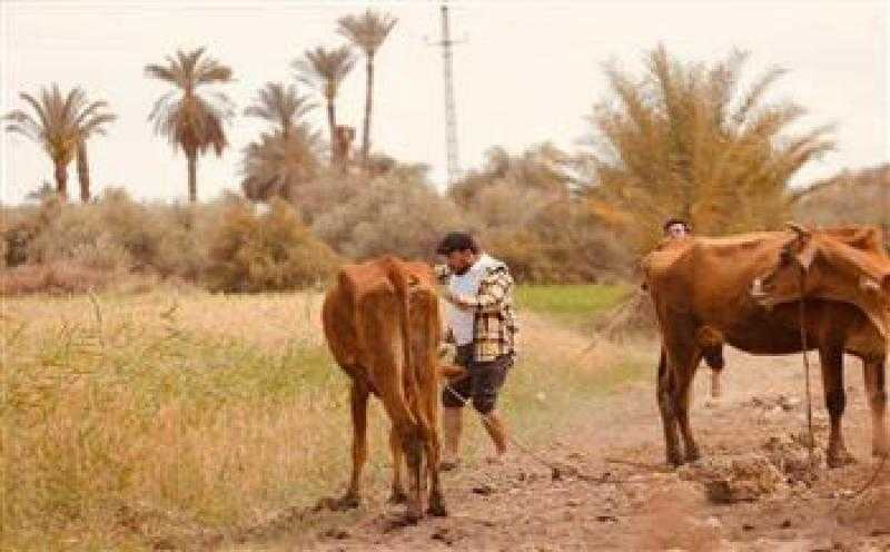 الحلقة 4 من ”كشف مستعجل”.. يوسف يورط د.سهام في أول جريمة قتل
