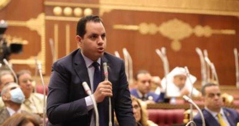 أحمد فوزي: إعلان موعد الحوار الوطني يقطع طريق التشكيك في مساره