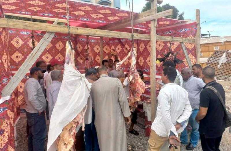 إطلاق مبادرة لبيع اللحوم بأسعار مخفضة بمدينة مرسى علم | صور