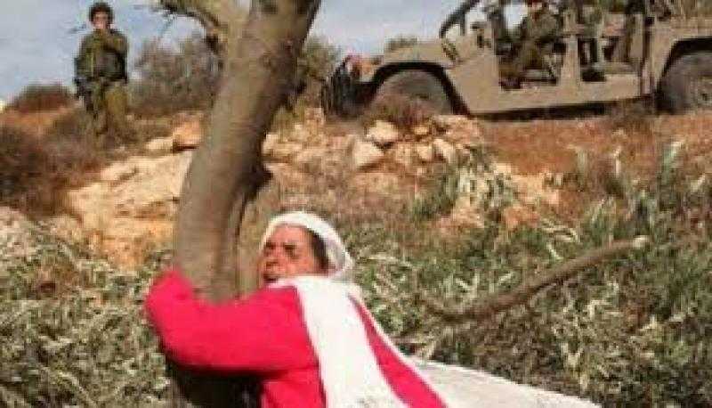 إعلاميات عرب.. على هذه الأرض ما يستحق الحياة.