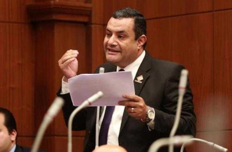 أعضاء التنسيقية: يجب مراجعة بنود الدعم في الموازنة باستمرار حفاظا على حق المواطن