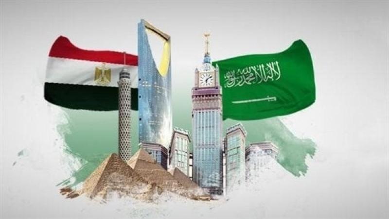 برلماني: مصر والسعودية يمثلان محور الاستقرار في المنطقة