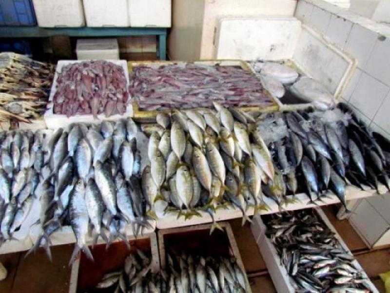 أسعار الأسماك في السوق اليوم الثلاثاء 4 أبريل 2023