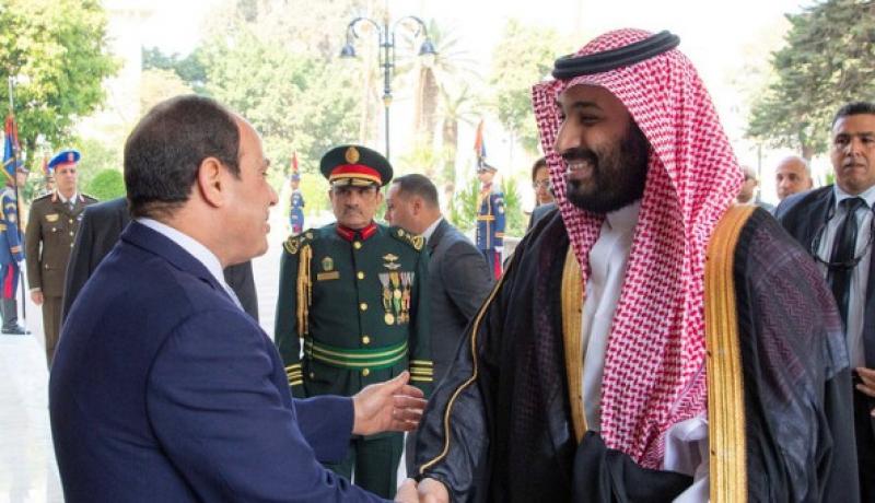 كيف تطورت العلاقات المصرية الإماراتية على مدار 50 عاما؟.. فيديو