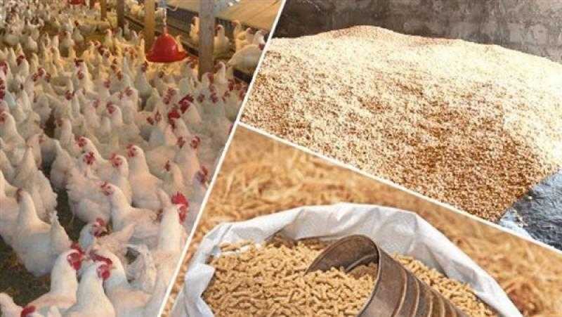 الزراعة: 3.5 مليون طن إجمالي خامات الأعلاف المفرج عنهم
