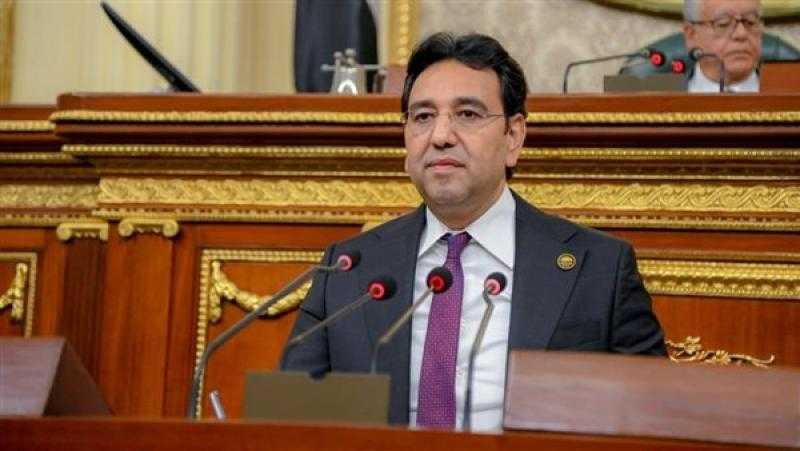 برلماني: نسعى لوقف تداول المكملات وأدوية التخسيس المجهولة التي تهدد صحة المصريين