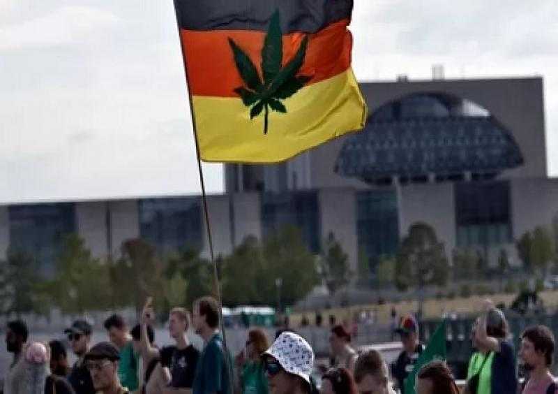 ما هي نوادي الحشيش الاجتماعية المقترحة في ألمانيا؟