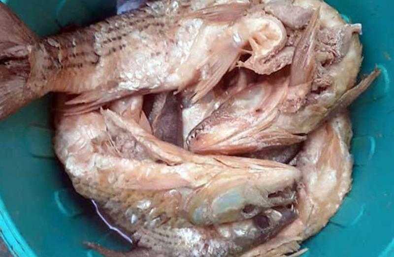 حملة للتفتيش على محال بيع الأسماك المملحة في حي الوايلي