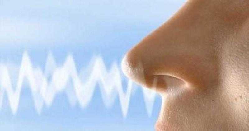 دراسة تتوصل لطرق لاستعادة حاسة الشم