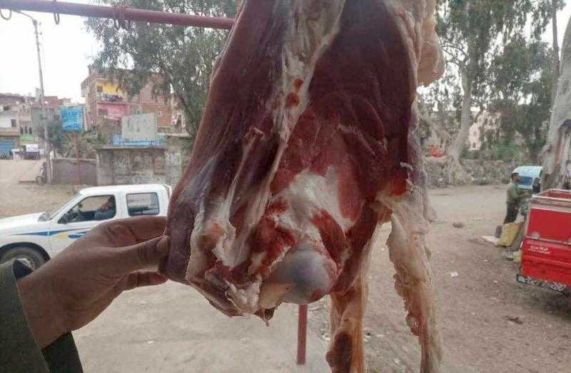 ”بيطري” الأقصر تضبط لحوما مذبوحة خارج المجازر