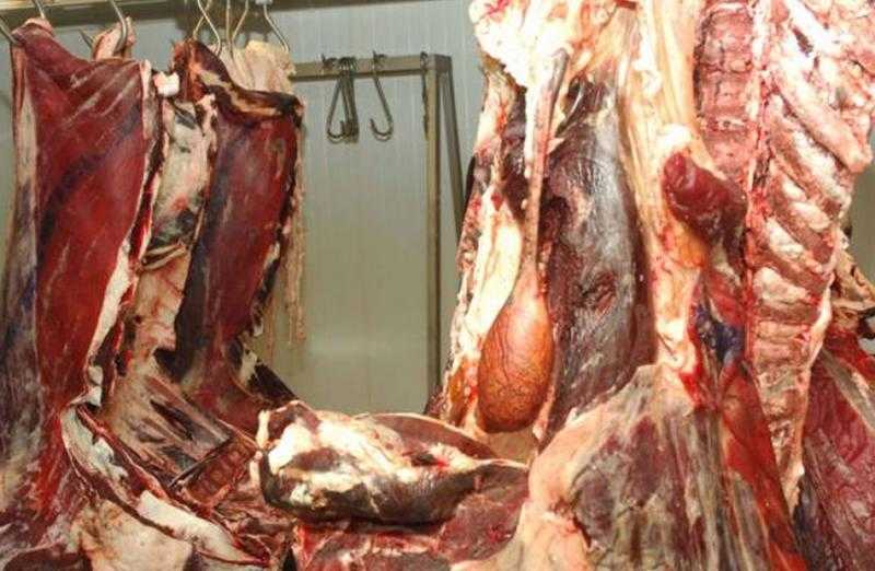 ضبط 3 أطنان لحوم وأسماك غير صالحة للاستهلاك الآدمي في الشرقية
