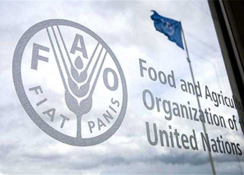 الأربعاء المقبل.. «الفاو» تحتفل بختام السنة الدولية للتنمية المستدامة للجبال 2022