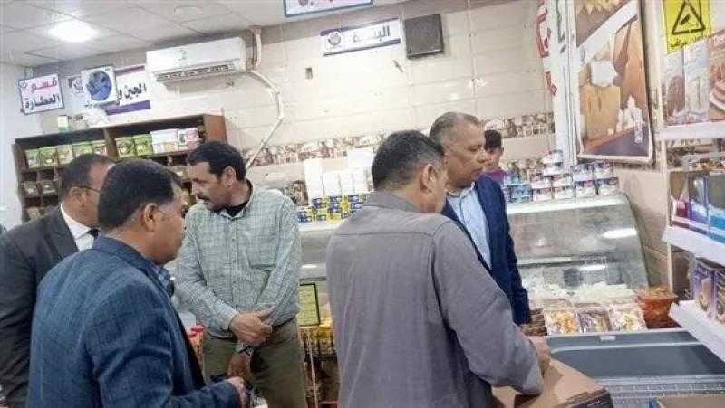 تحرير 14 مخالفة تموينية.. وضبط أسماك مملحة فاسدة بمركز مطاي بالمنيا