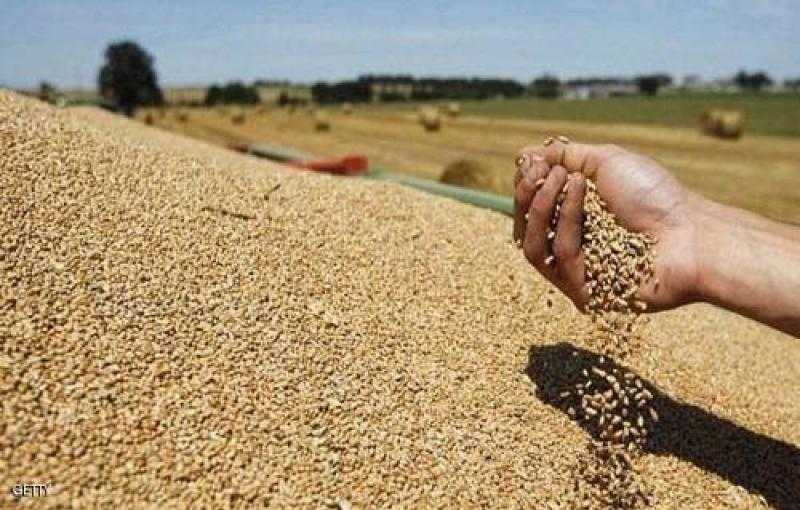 استاذ اقتصاد زراعي: يتحدث عن دعم الدولة المصرية للإنتاج الزراعي