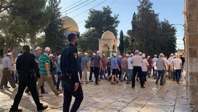 مستوطنون يقتحمون الأقصى وشرطة الاحتلال تعتدي على مصلى باب الرحمة