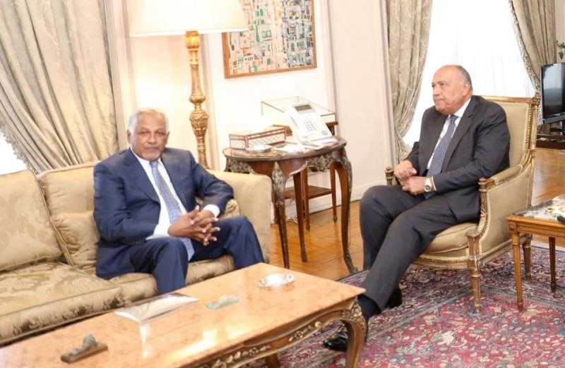 وزير الخارجية: مصر لا تدخر جهدًا في مساعدة الأشقاء السودانيين على تجاوز المحنة