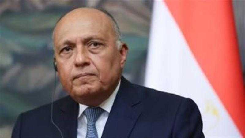 وزير الخارجية يؤكد للمبعوث الأممي لدى سوريا ضرورة حل الأزمة السورية وفق القرار 2254