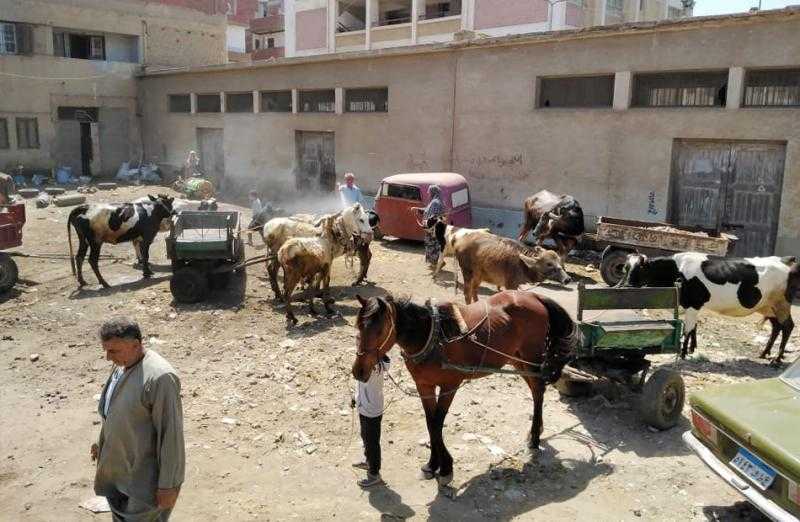 فحص 1371 طائرًا وحيوانًا خلال قافلة بيطرية في الغربية