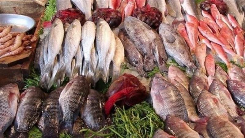البلطي بـ 69 جنيها.. أسعار الأسماك اليوم الإثنين 8 مايو 2023 في الأسواق
