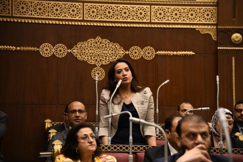 مقترح برلماني بشأن إنشاء وحدات لتنمية الأسرة المصرية بمراكز الشباب