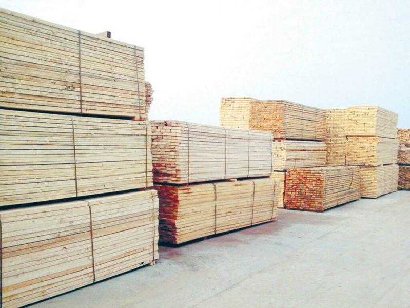 الحرب الأوكرانية تتسبب في نقص الكميات المعروضة من الأخشاب في مصر