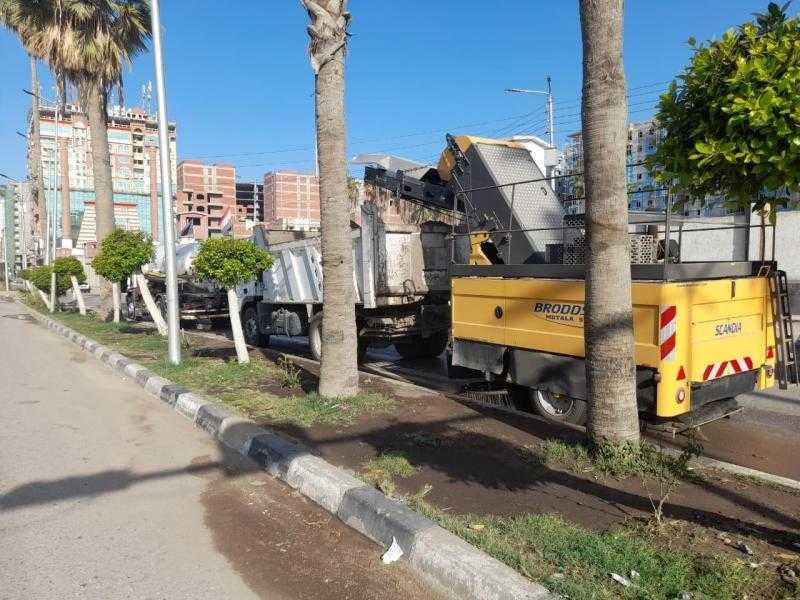 حملات مكثفة للنظافة والتجميل والإنارة في جميع مراكز سوهاج