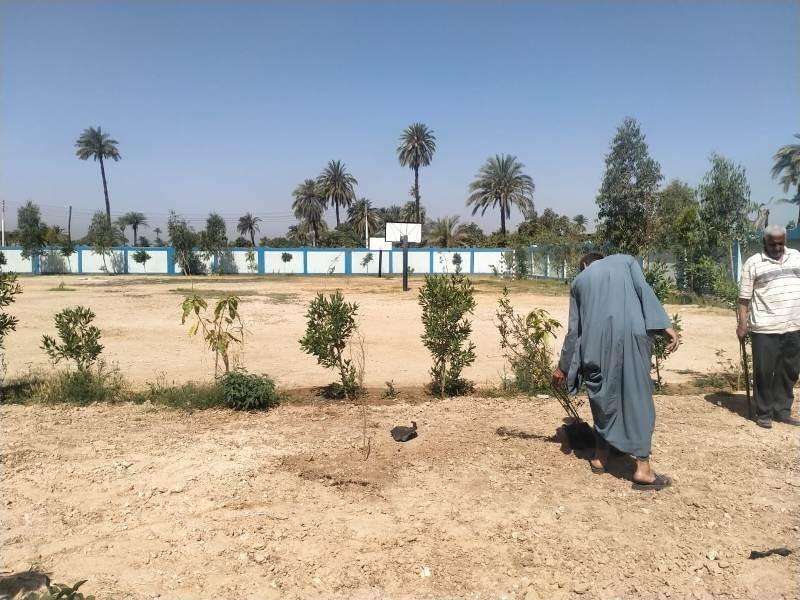 محافظ أسيوط: زراعة 355 شجرة خلال حملة تشجير بمركز ومدينة البداري | صور