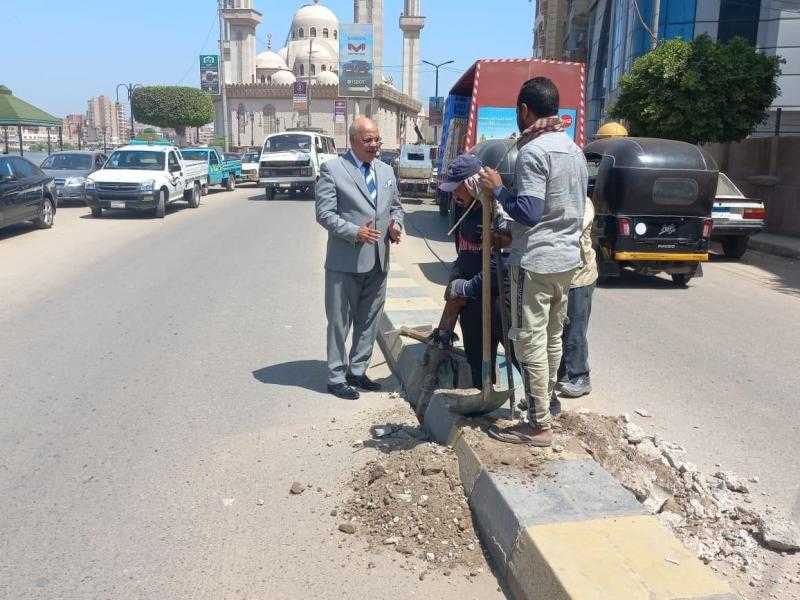 مد وتدعيم أعمدة إنارة ديكورية بشوارع ومداخل ميت غمر