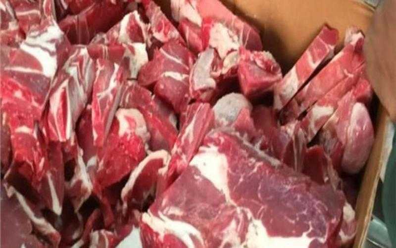مصادرة لحوم فاسدة من أحد المطاعم الشهيرة في الجيزة