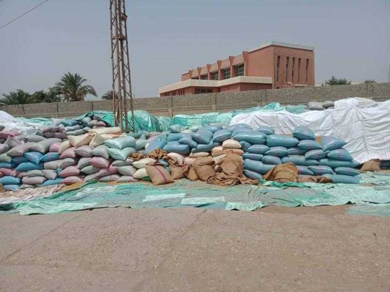 توريد 45 ألف طن قمح منذ بدء الموسم بسوهاج
