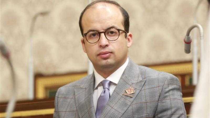 برلماني: كلمة مصر في قمة جدة أكدت دورها المحوري لرعاية مصالح المنطقة
