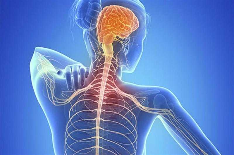 معلومات عن التصلب المتعدد.. الأعراض والأسباب