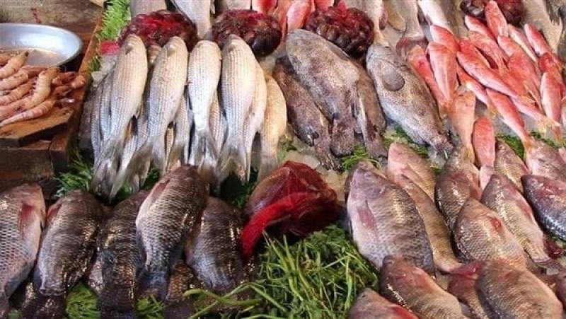 أسعار الأسماك اليوم الأربعاء