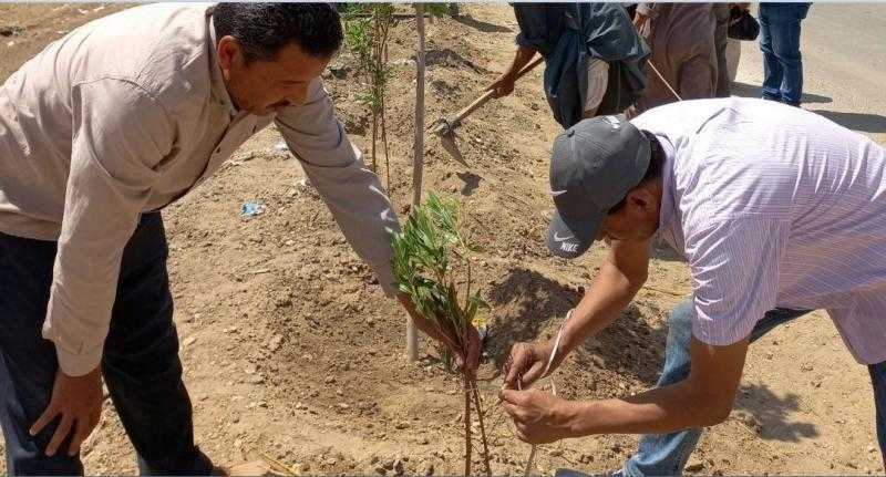 حملات تشجير ونظافة بمسار رحلة العائلة المقدسة في مركز أسيوط