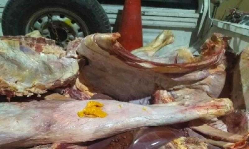 ضبط 320 كيلو لحوم غير صالحة للاستهلاك الآدمي بمركز طامية بالفيوم