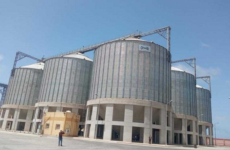 توريد 367 ألف طن من محصول القمح في المنيا