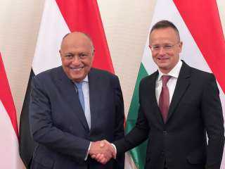 سياسة