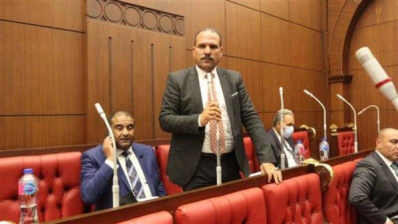 النائب محمد سليم: المجلس الأعلى للتعليم أولى خطوات ربط المنظومة بسوق العمل