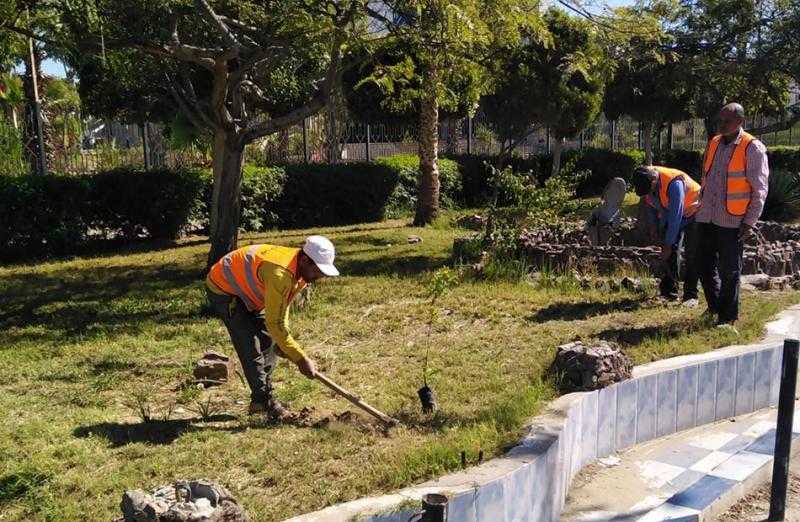 زراعة 300 شجرة مثمرة فى زفتى بالغربية