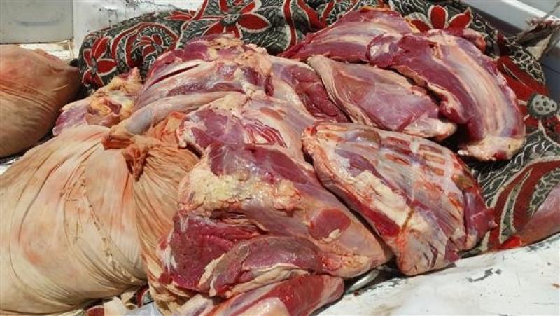 مصادرة 383 كيلو لحوم ودواجن ورنجة بالغربية