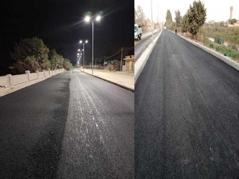 عميد «زراعة عين شمس»: الدولة المصرية شهدت تطورا كبيرا في البنية الأساسية